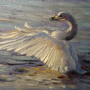 Pintura de cisne, tarjetas ACEO, pintura personalizada, pájaro ACEO, arte original, lienzo al óleo, mini lienzo hecho en casa, regalo para amantes de las aves