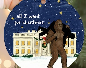 Personalized Anti Trump Ornament | Custom Anti Trump Christmas Gift | Funny Political Gift | Cute Liberal Gifts | Anti Fascism Ornament