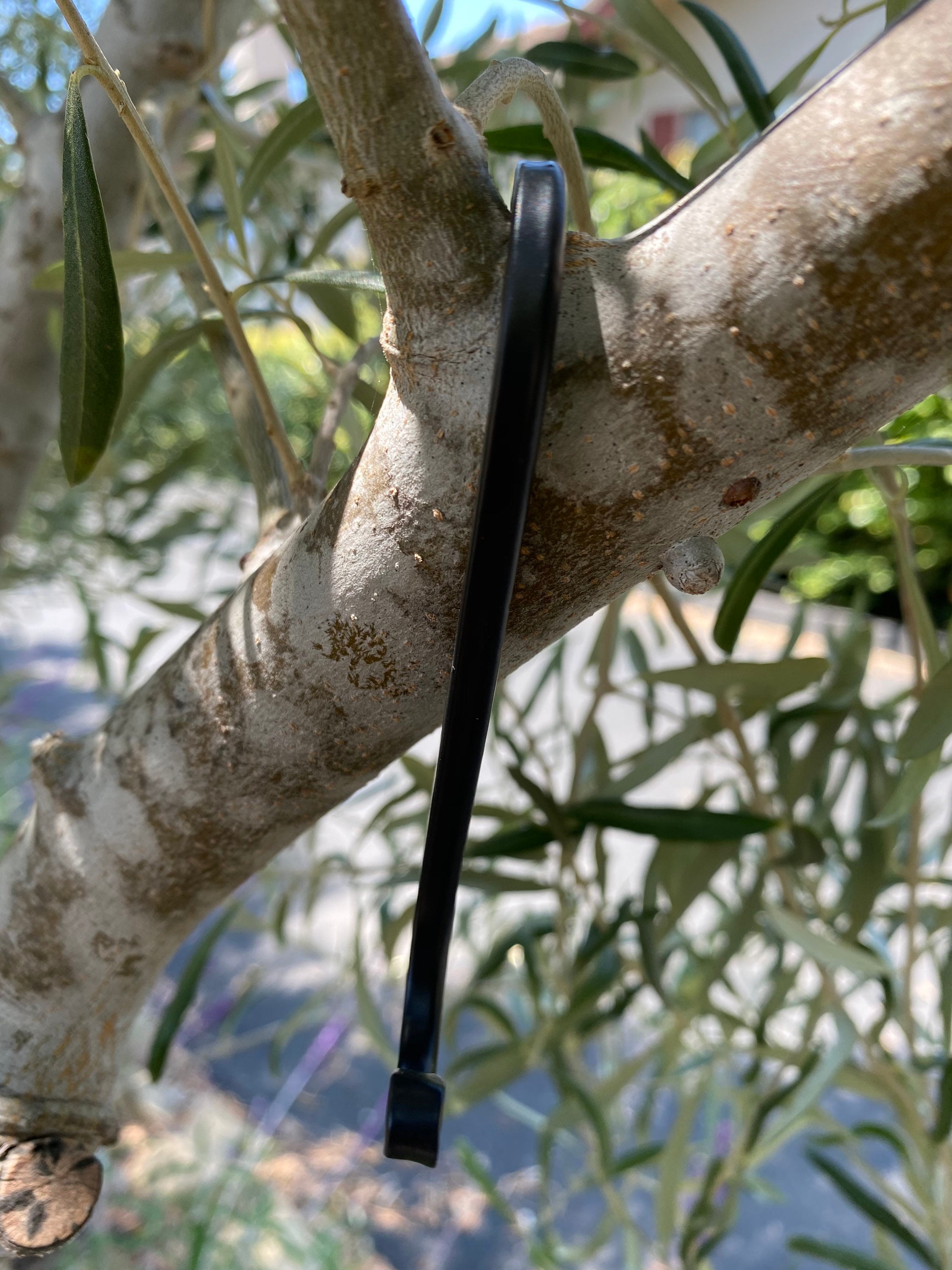 Black Scroll S Hook, Hanging Hook, Hanging Plant Extender, Etsy