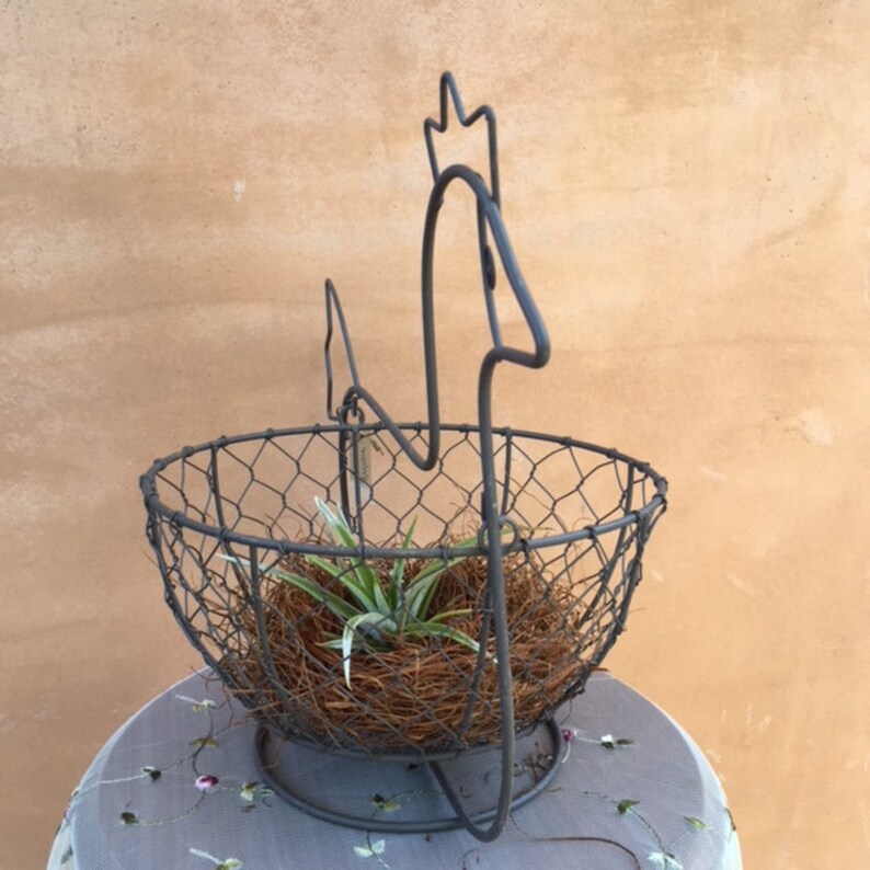 Rustic Wire Chicken w Air Plant Rustic Style Country Living Farmhouse Decor Southern Charm Chicken Basket and Stand Farm Animal Decor