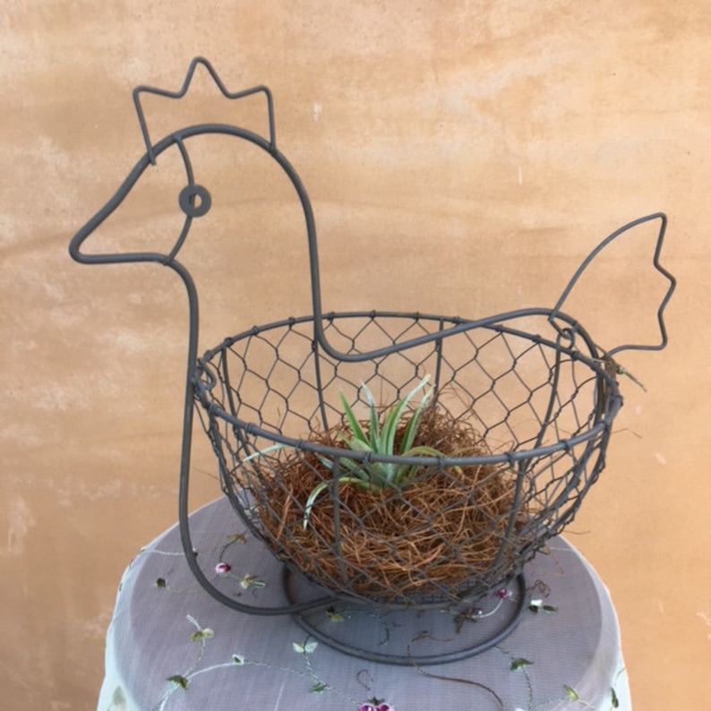 Rustic Wire Chicken w Air Plant Rustic Style Country Living Farmhouse Decor Southern Charm Chicken Basket and Stand Farm Animal Decor