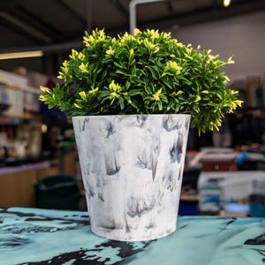 Puede incluir: Una pequeña planta verde con hojas amarillas en una maceta blanca con un patrón de mármol. La maceta está hecha de plástico reciclado.