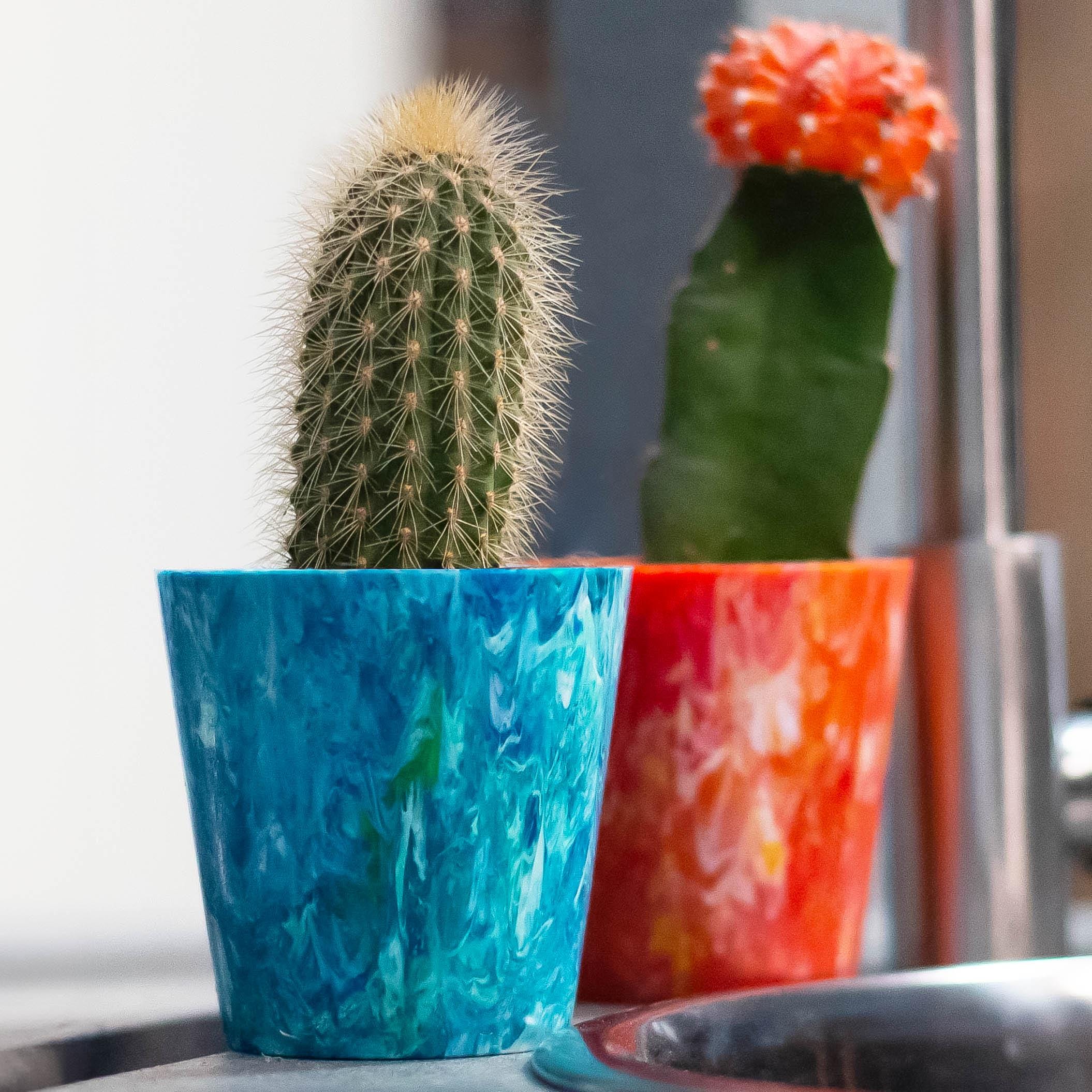 Vaso per piante grasse in plastica riciclata (confezione da 2) / Vasi per cactus da interno ecologici