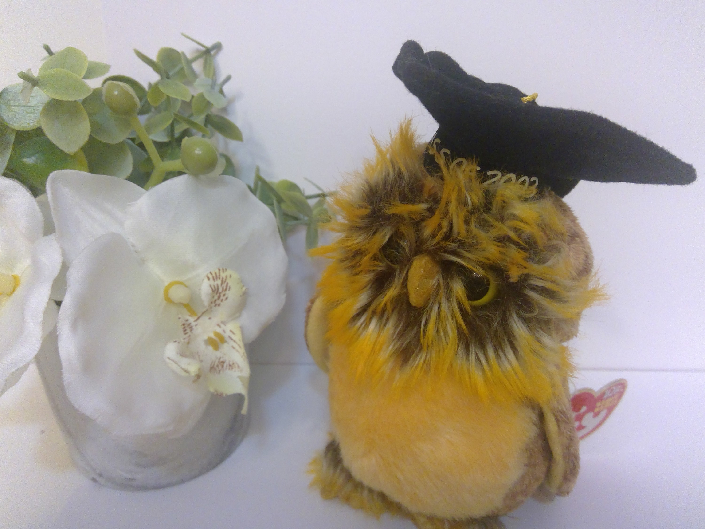 TY Beanie Baby - SMARTEST the 2003 Owl