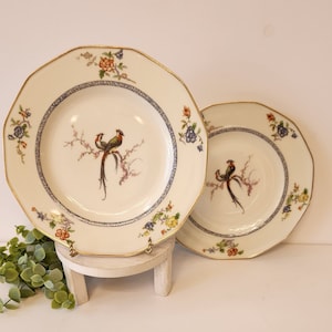 2 Antique Theodore Haviland Limoges Plate, Eden Pattern, Made in France, Side Plate, Bird of Paradise, Limoges Dishes