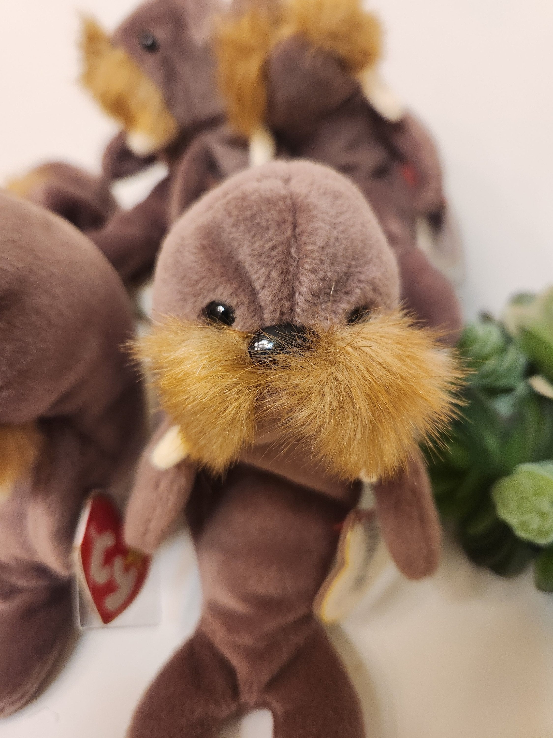 1996 TY Beanie Baby JOLLY the Walrus, Retired, - Etsy