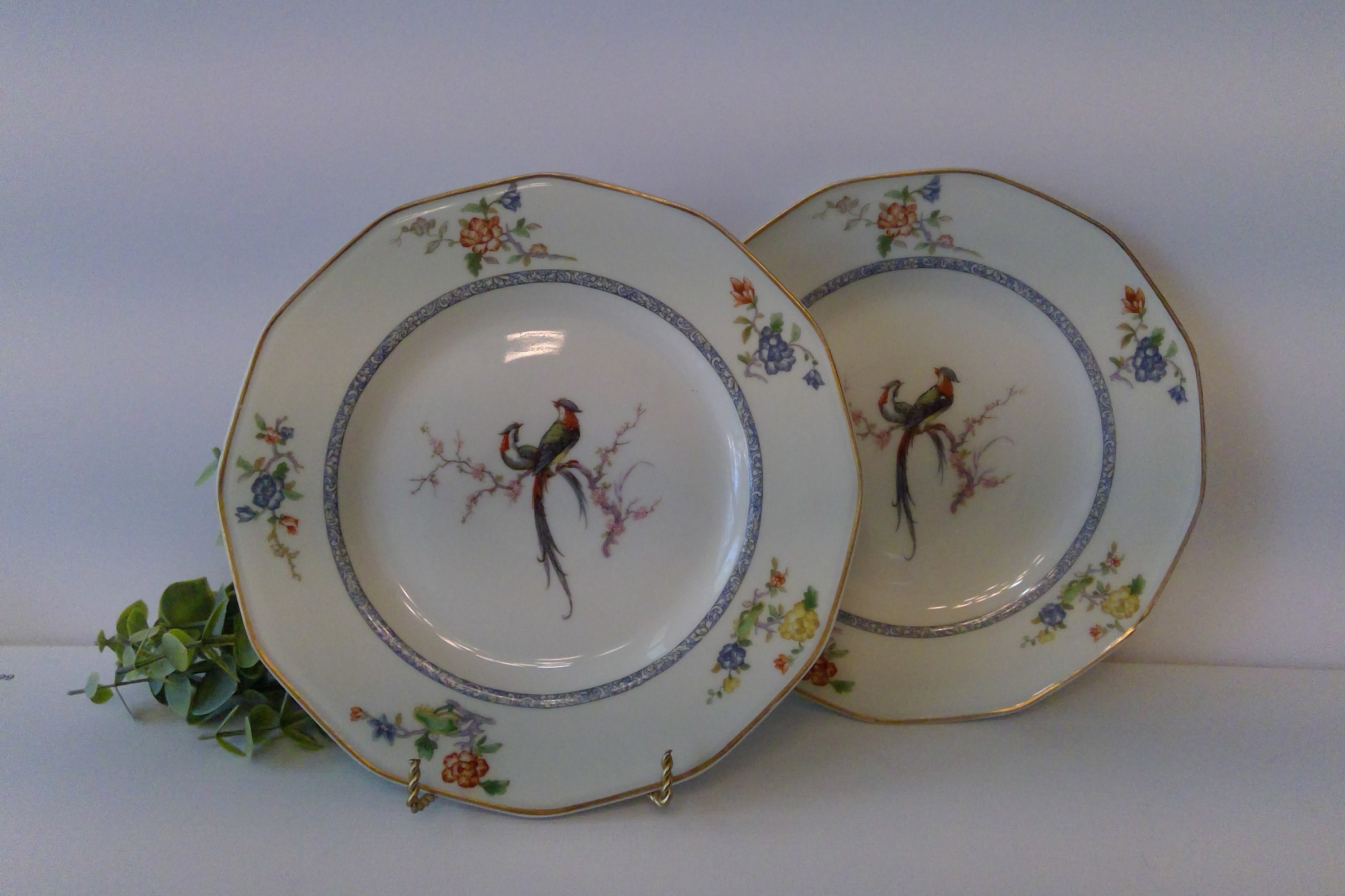 Antique Theodore Haviland Limoges Side Plate Set: Eden Bird of