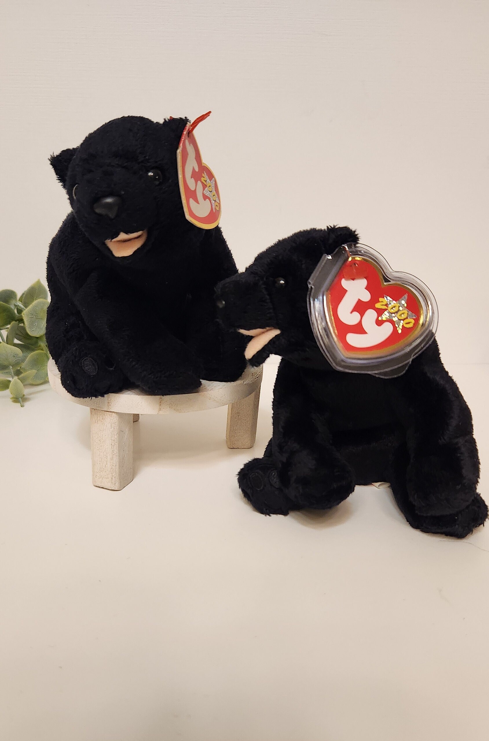 Ty Beanie Baby 6 Cinders the Black Bear 2000 Etsy Canada