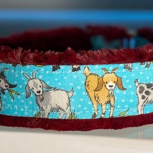 Aqua Goats Dog Collar (read item description and view photos for collar linings and types)