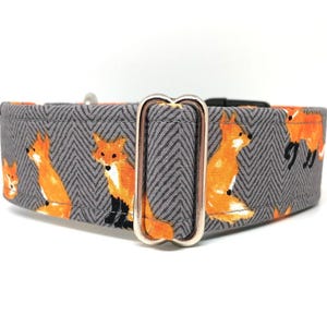 Gray Fox Dog Collar (read item description and view photos for collar linings and types)