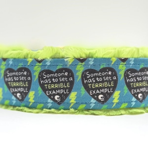 May include: A teal dog collar with a lime green fluffy trim. The collar features a repeating pattern of black heart-shaped graphics with the text "Someone has to set a TERRIBLE EXAMPLE" and lightning bolts.