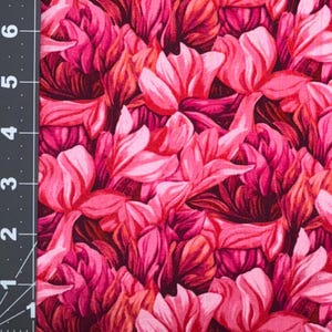 Vivid Pink Floral Dog Collar (read item description and view photos for collar linings and types)
