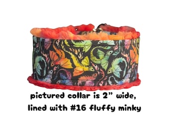 Rainbow Dragons Dog Collar (read item description and view photos for collar linings and types)