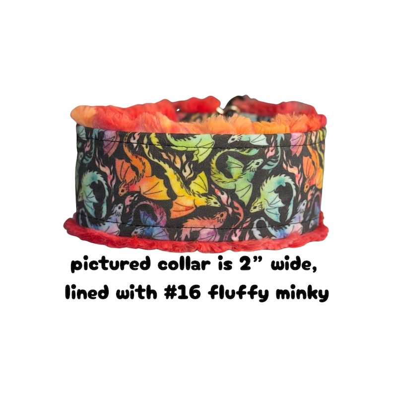 Recycled Polyester CANVAS Rainbow Dragons Dog Collar (read item description and view photos for collar linings and types)