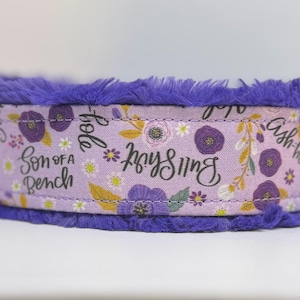 May include: A lavender dog collar with a floral pattern and the words "Son of a Bench" and "Bull Shit". The collar has a fluffy purple trim.