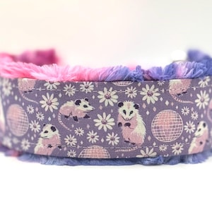 May include: A purple pet collar with a repeating pattern of opossums, disco balls, and flowers. The collar has a fluffy pink and purple trim. The collar is designed for pets.