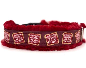 Sweary Funny Dog Collar burgundy (read item description and view photos for collar linings and types)