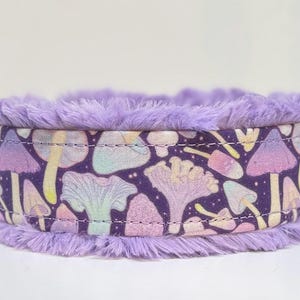 May include: A dog collar with a purple mushroom pattern on a dark purple background. The collar is lined with soft, fluffy purple material. The mushrooms are in pastel colors, including pink, yellow, and blue.