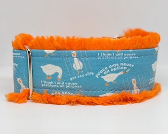 Silly Goose Dog Collar Teal (read item description and view photos for collar linings and types)