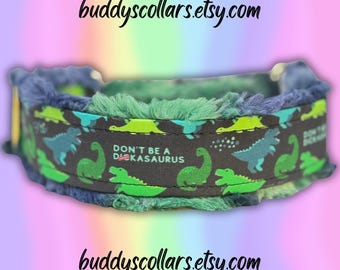 RECYCLED POLYESTER CANVAS Funny Dinosaur Dog Collar (read item description)