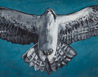 Fish Hawk - Giclee Paper Reproduction
