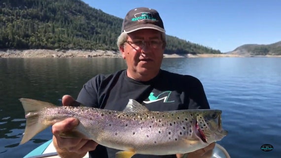 Montana Tackle Brown Trout Trolling Spinners 6: BROWN BAGGER Six-pack 