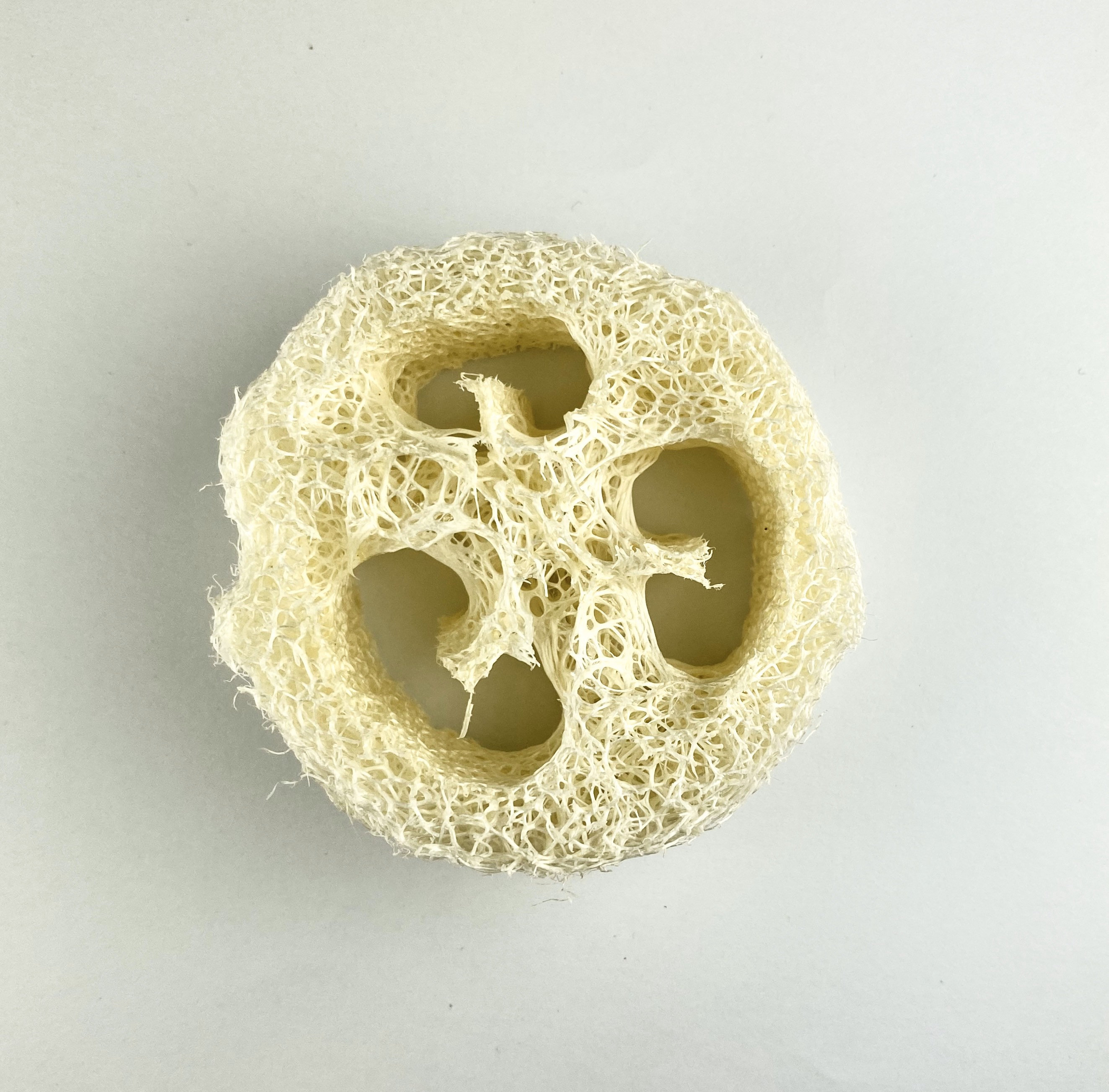 Gift Basket Stuffers / Luffa Slice One 3/4 Inch Slice Loofah Etsy