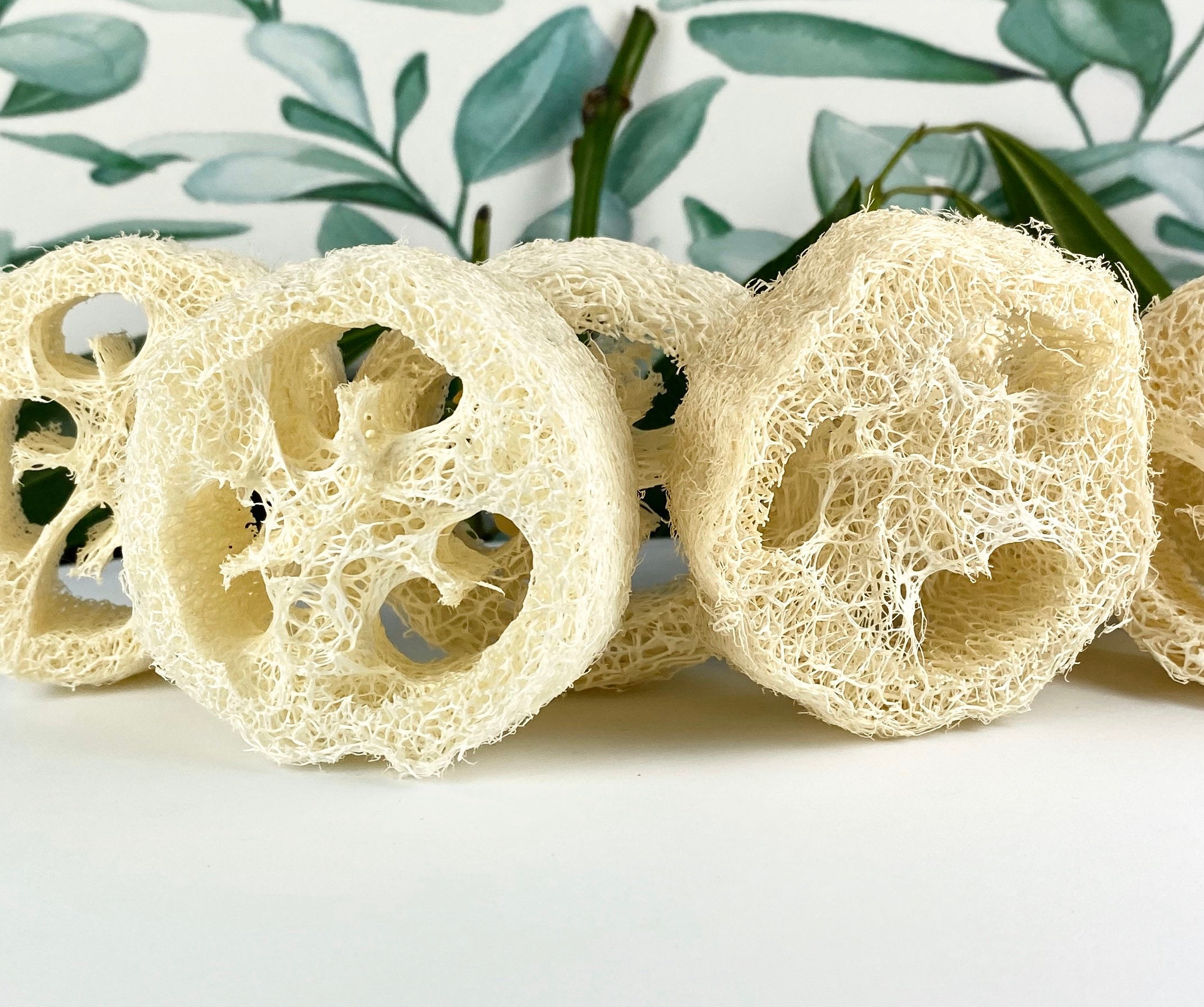 Gift Basket Stuffers / Luffa Slice One 3/4 Inch Slice Loofah Etsy