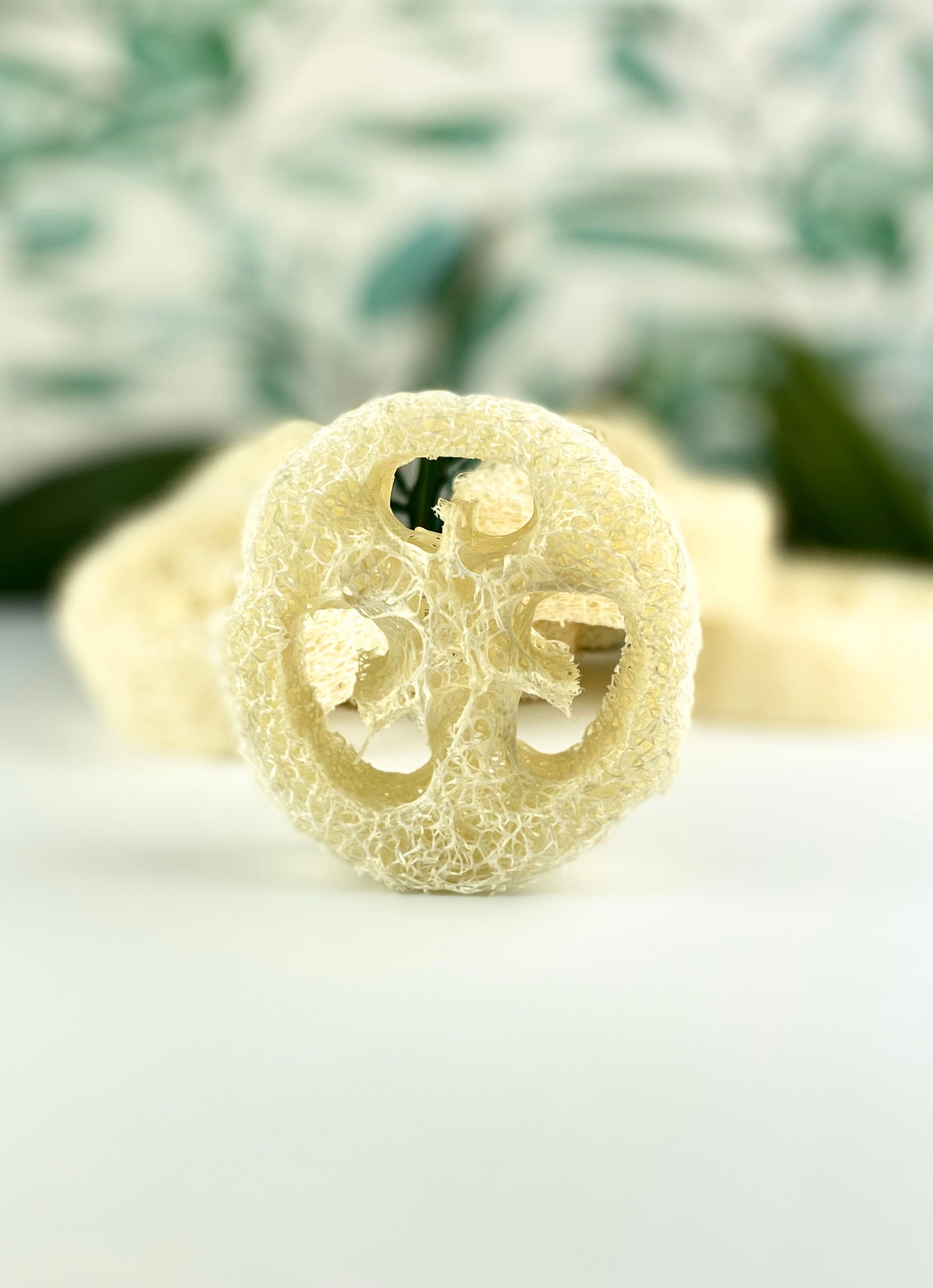 Gift Basket Stuffers / Luffa Slice One 3/4 Inch Slice Loofah Etsy