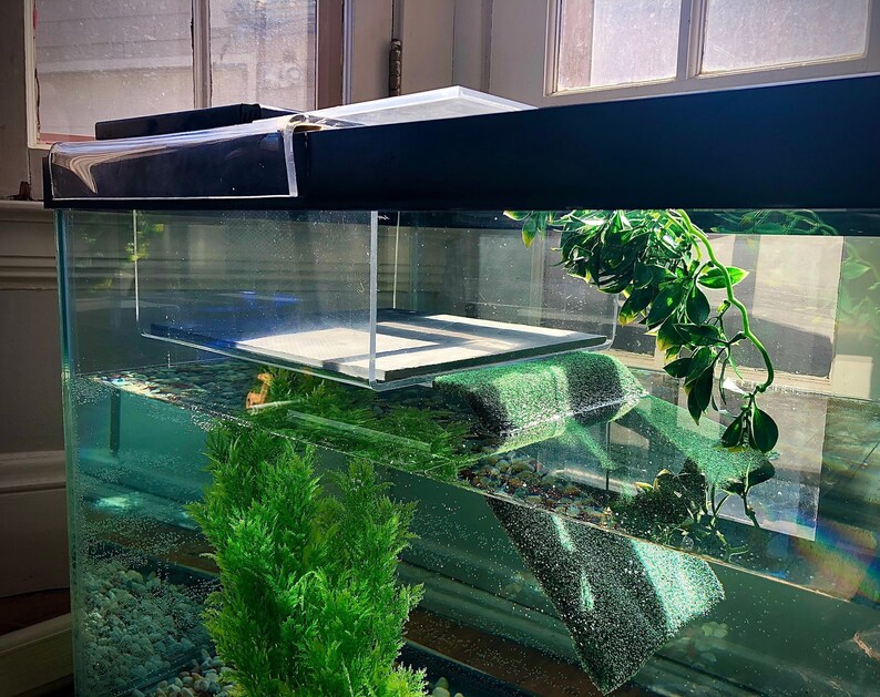 Fully Acrylic Large Turtle Tower turtle basking dock turtle basking platform turtle tank aquarium decor basking area turtle topper bask