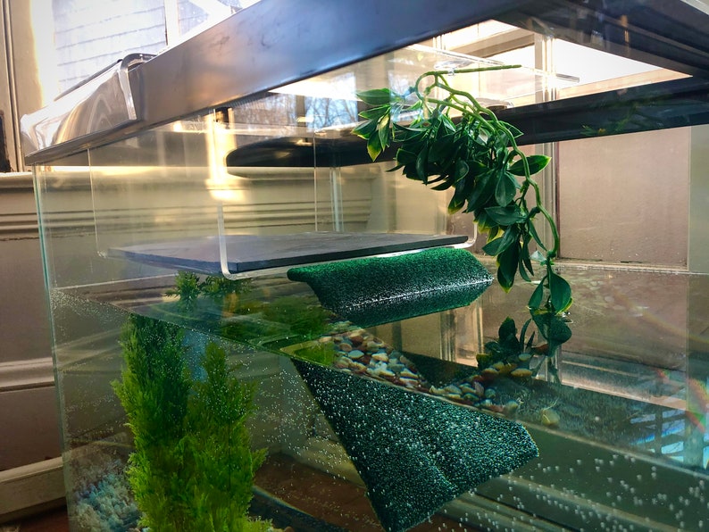 Fully Acrylic Large Turtle Tower turtle basking dock turtle basking platform turtle tank aquarium decor basking area turtle topper bask