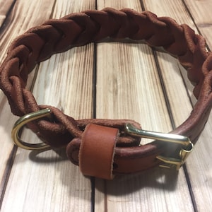 Braided Leather Collar- The Bentley Collar. Handcrafted leather dog collar with brass fittings.