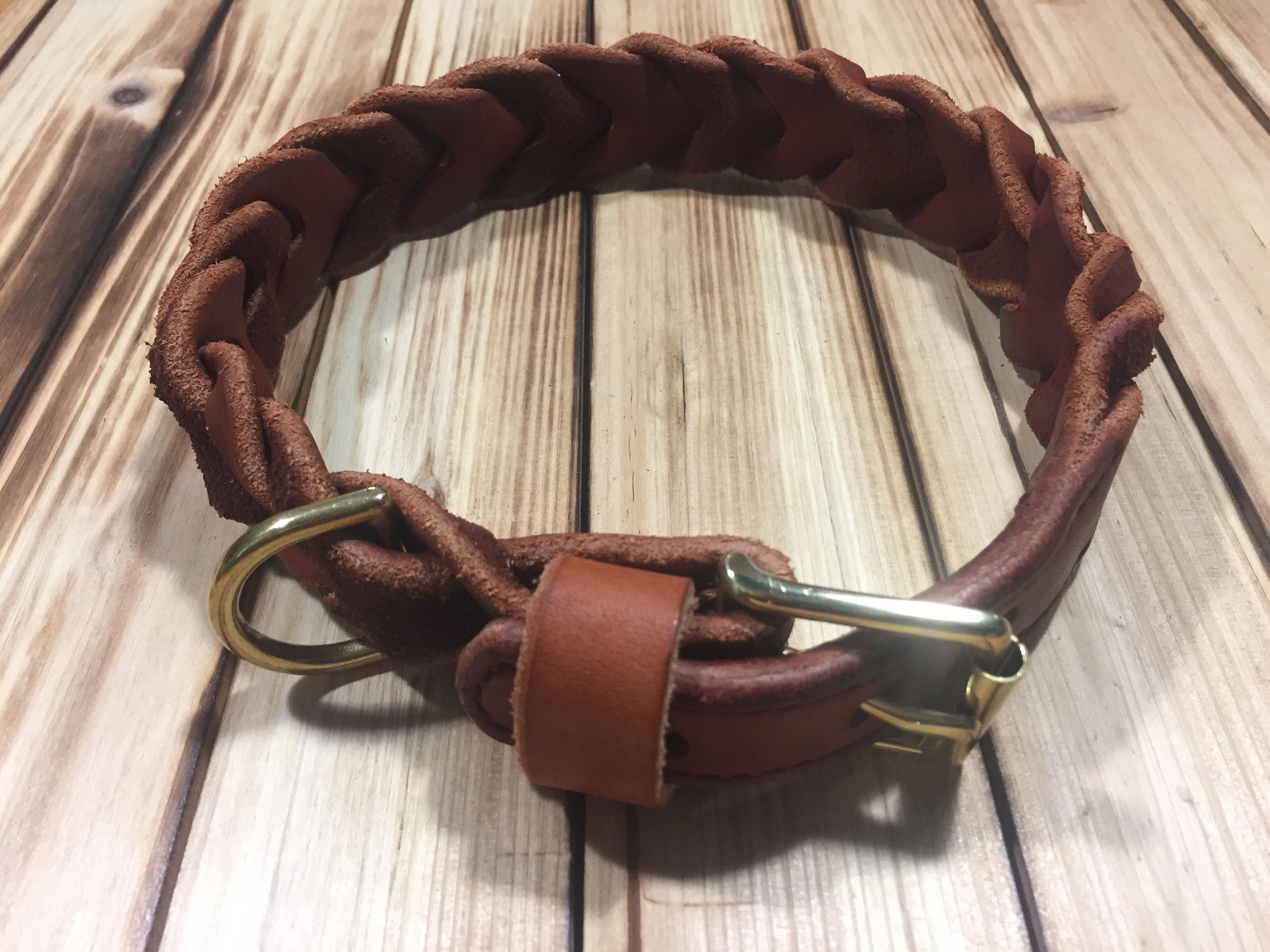 bentley dog collar