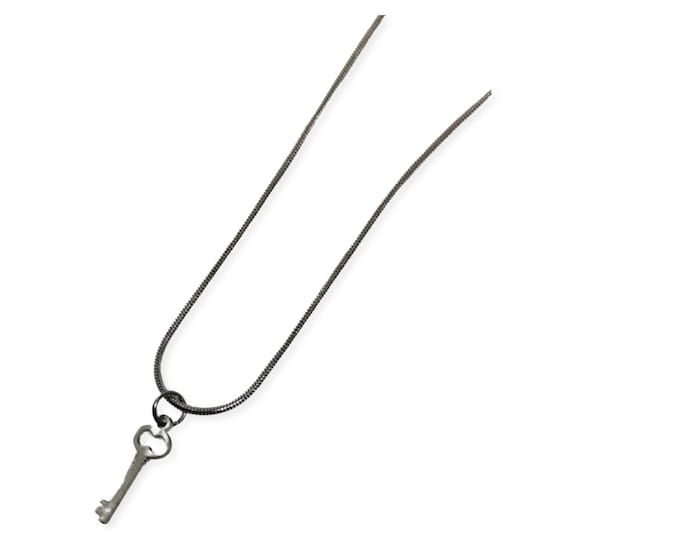 Cuck Key Snake Chain Necklace