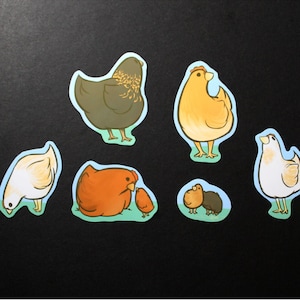 Waterproof Chicken Sticker Pack