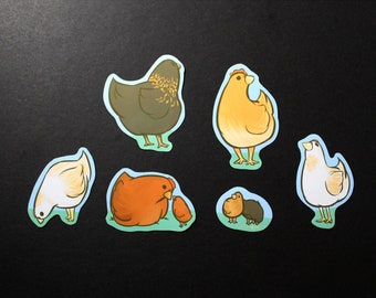 Waterproof Chicken Sticker Pack