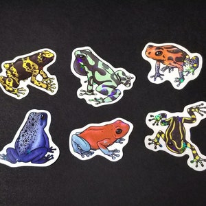 Autocollants Holo Dart Frog imperméables