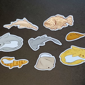 Ocean Critter Sticker Pack (Waterproof)