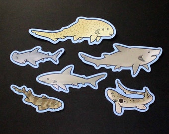 Waterproof Vinyl Shark Sticker Pack