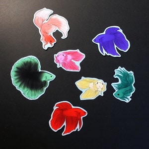 May include: Set of 7 colorful fish stickers, featuring a variety of colors and designs. The stickers are perfect for adding a touch of whimsy to any project.