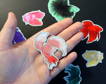 Waterproof Betta Fish Stickers