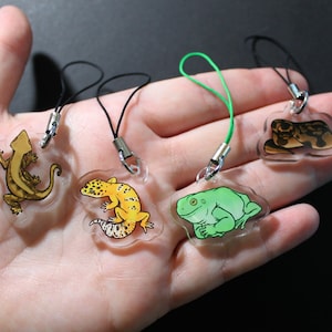 Reptile 1 inch acrylic charms - Geckos, Ball Python and Treefrogs