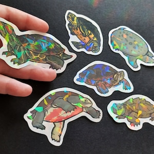 Pegatinas de tortugas de agua dulce (holográficas e impermeables)