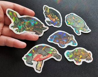 Fresh Water Turtles Stickers (Holographic & Waterproof)