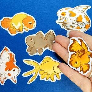 May include: A selection of goldfish stickers in different designs. The stickers depict detailed illustrations of goldfish in shades of orange, yellow, and brown, with white detailing. The stickers are on a white background.