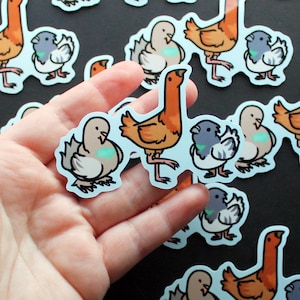 Pigeon Trio 3 inch waterproof sticker