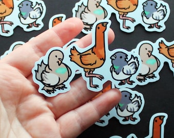 Pigeon Trio 3 inch waterproof sticker