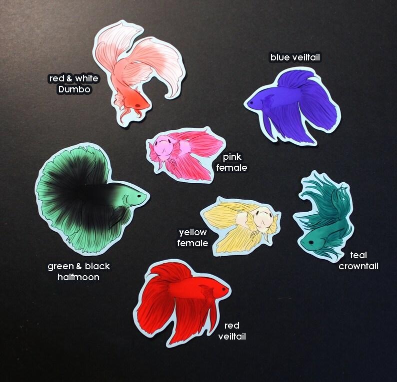 May include: Assortment of colorful betta fish stickers, including red and white, green and black, blue, pink, yellow, and teal. The stickers feature different betta fish fin types, including veiltail, halfmoon, and crowntail.