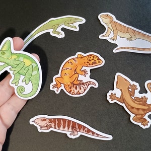 Peut inclure: Six autocollants de reptiles colorés représentant un caméléon, un gecko, un dragon barbu et trois types de lézards différents. Les autocollants sont imprimés sur du papier blanc et ont une finition brillante.