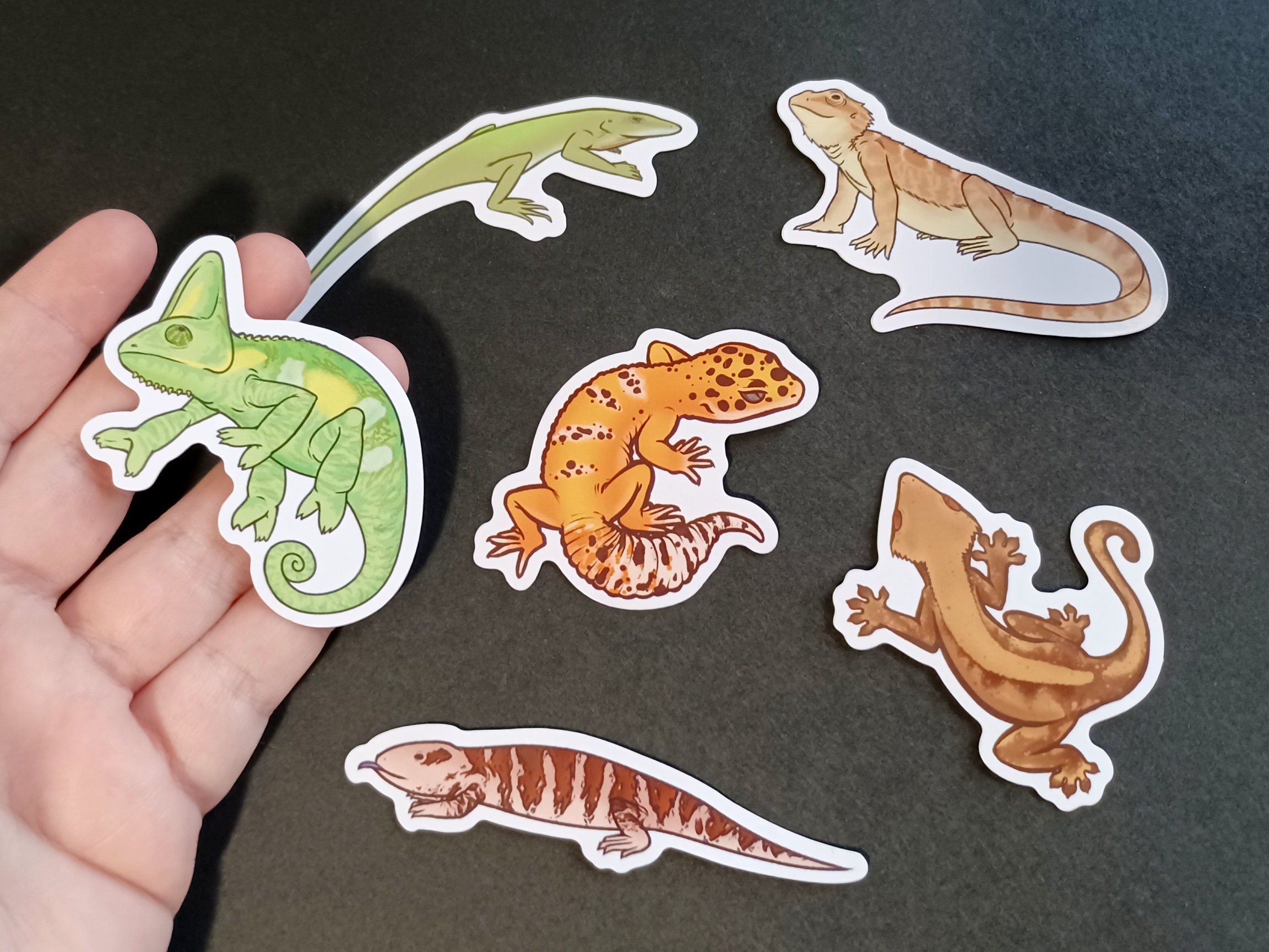 Giant day gecko - Etsy 日本
